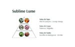 Sublime Lume 100ml edt avatim - Image 3